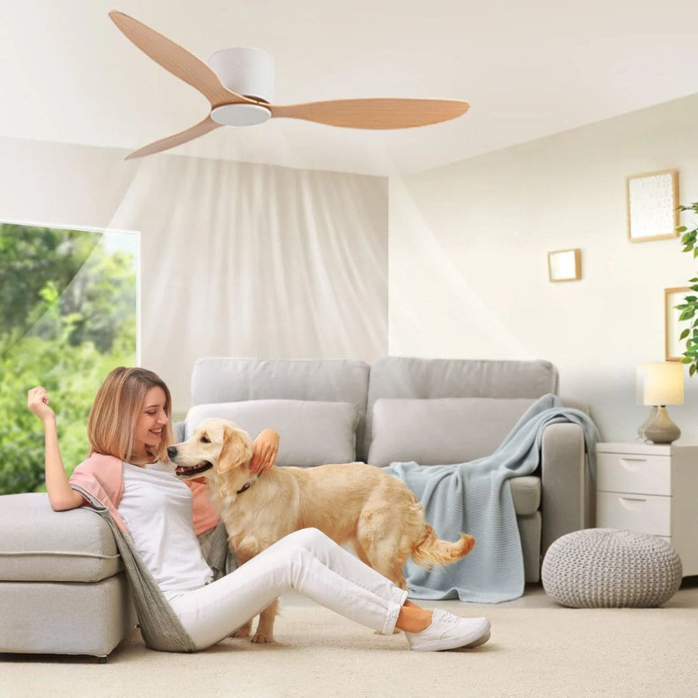 Ventilateur de Plafond Moderne Blanc