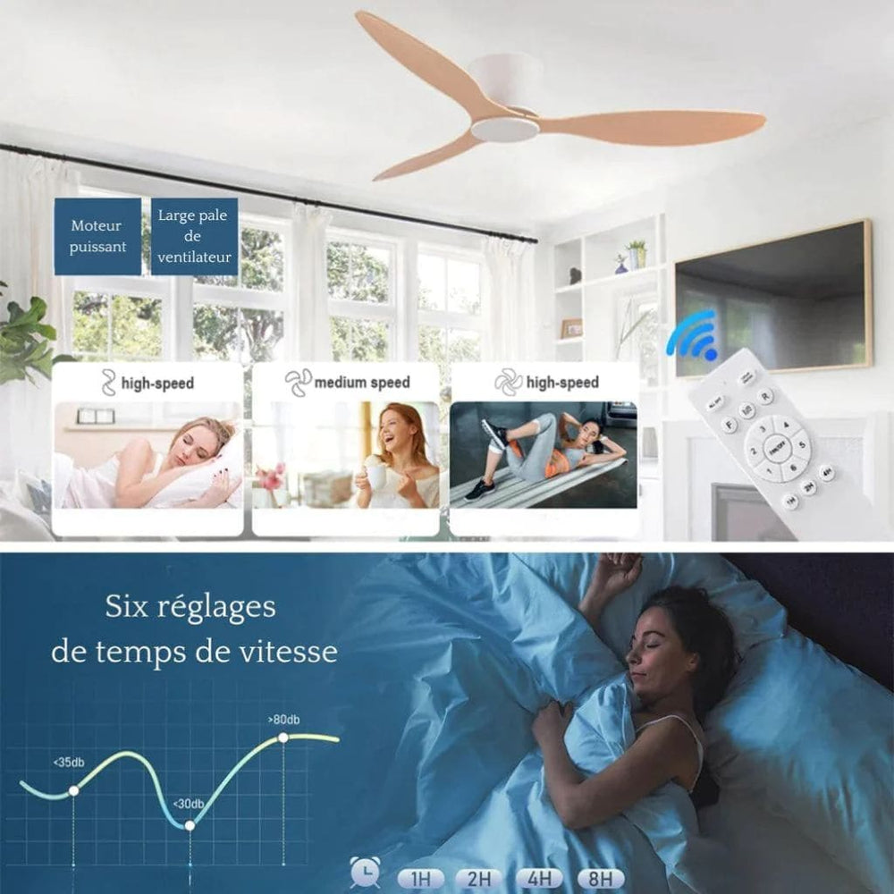 Ventilateur de Plafond Moderne LED