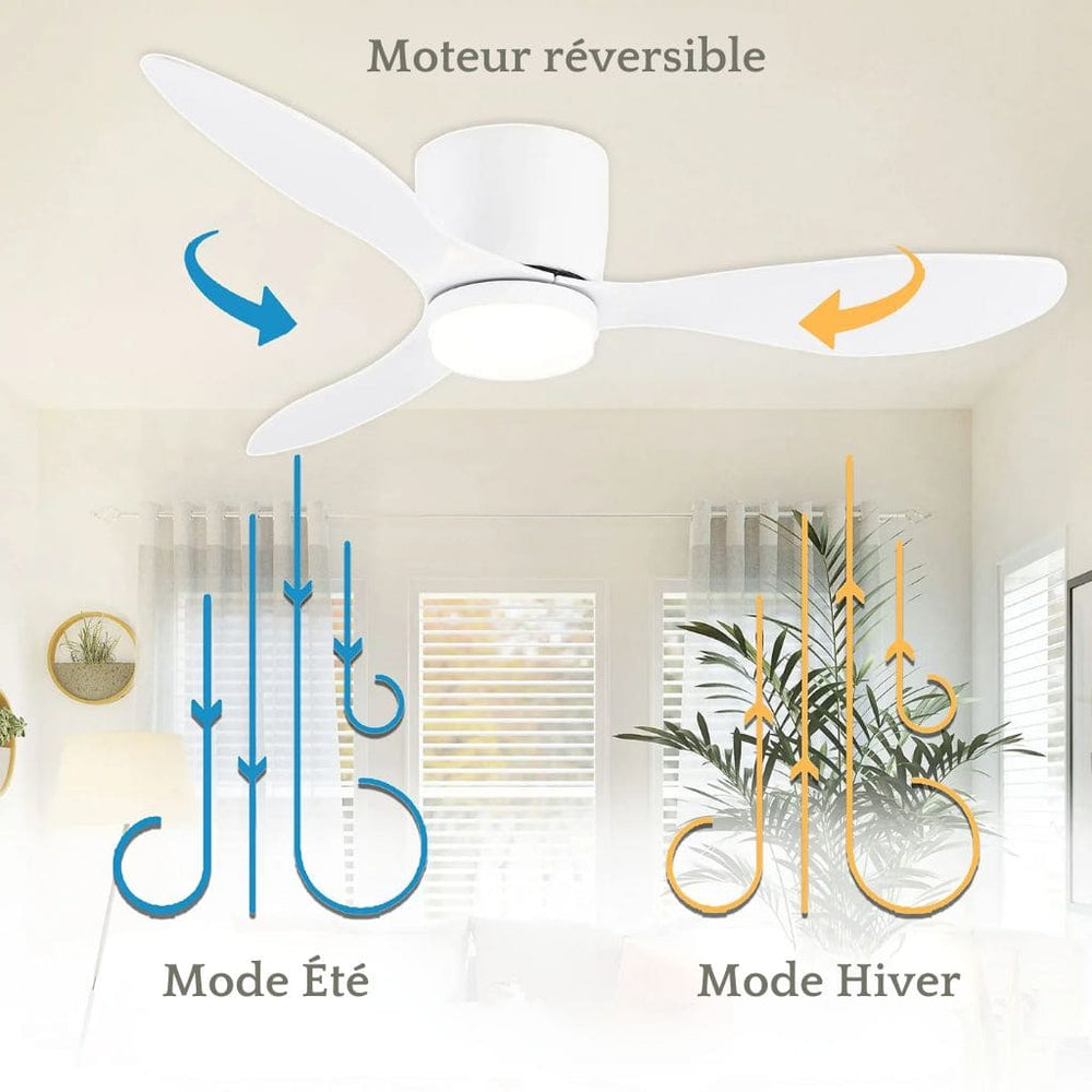 Ventilateur de Plafond Moderne LED